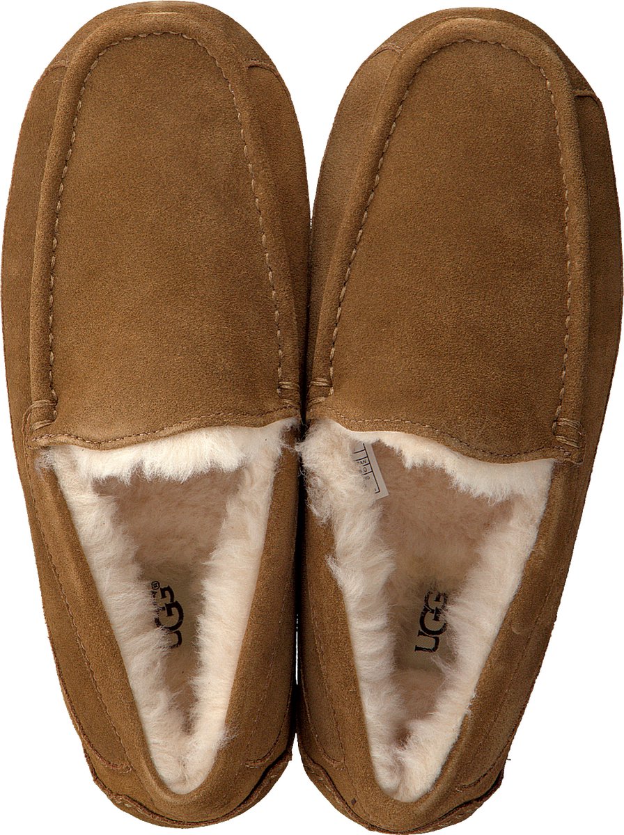 UGG - maat 42- Ascot Heren Sloffen - Chestnut