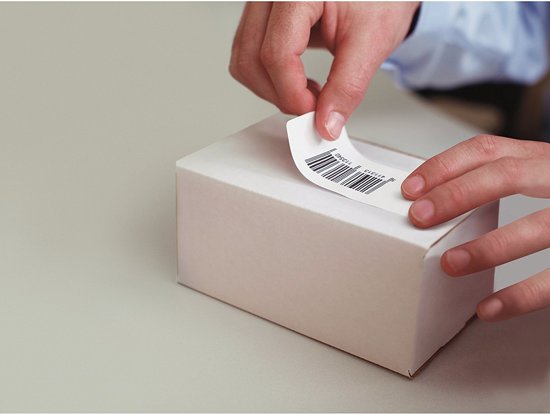 Dymo Labels 11354 - Verwijderbare Multifunctionele Etiketten €“ voor Dymo Labelwriter 450 €“ 450 Tur