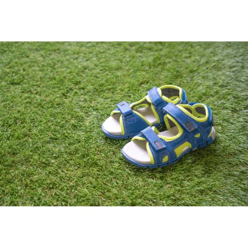 Schoeisel, Sandaal, Schoen, Gras, Sneaker