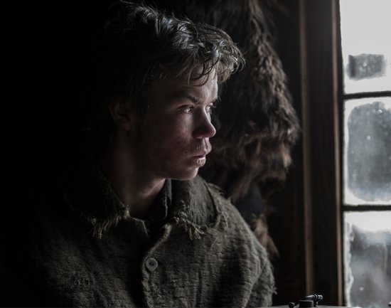 DVD - The Revenant