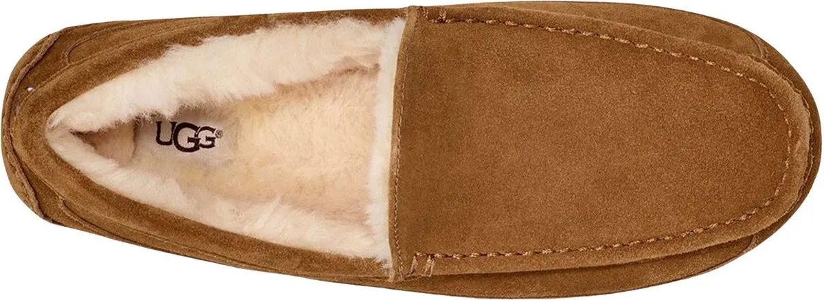UGG - maat 42- Ascot Heren Sloffen - Chestnut