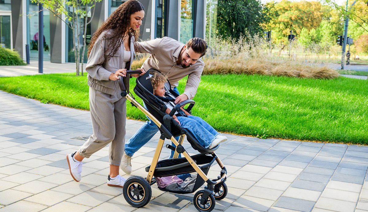Lionelo Amber 2 in 1 Combi Kinderwagen met Reiswieg & Wandelwagen – Vanaf Geboorte tot 22 kg – Luchtbanden, Volledige Vering, Omkeerbaar Zitje – Accessoires: Luiertas, Klamboe, Regenhoes, Verschoonmatje