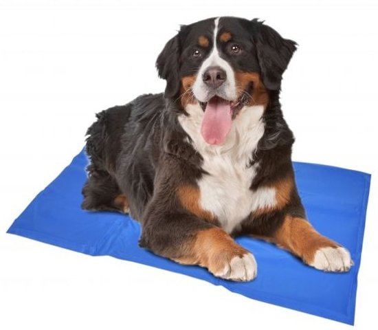 Duvo Koelmat Hond - Blauw - L: 90 x 50 cm