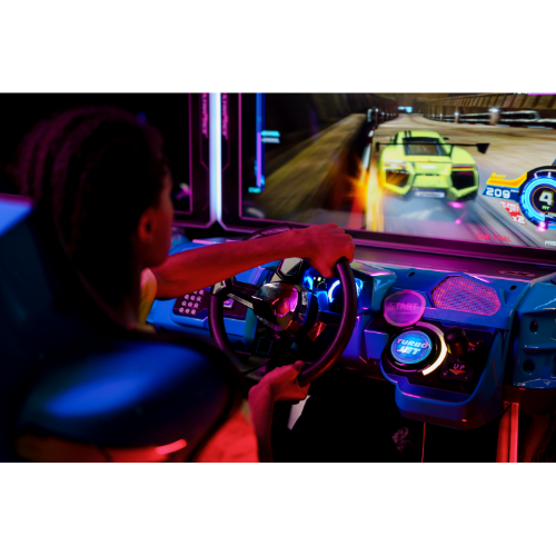 Arcade Sticks, Flight & Race Gear