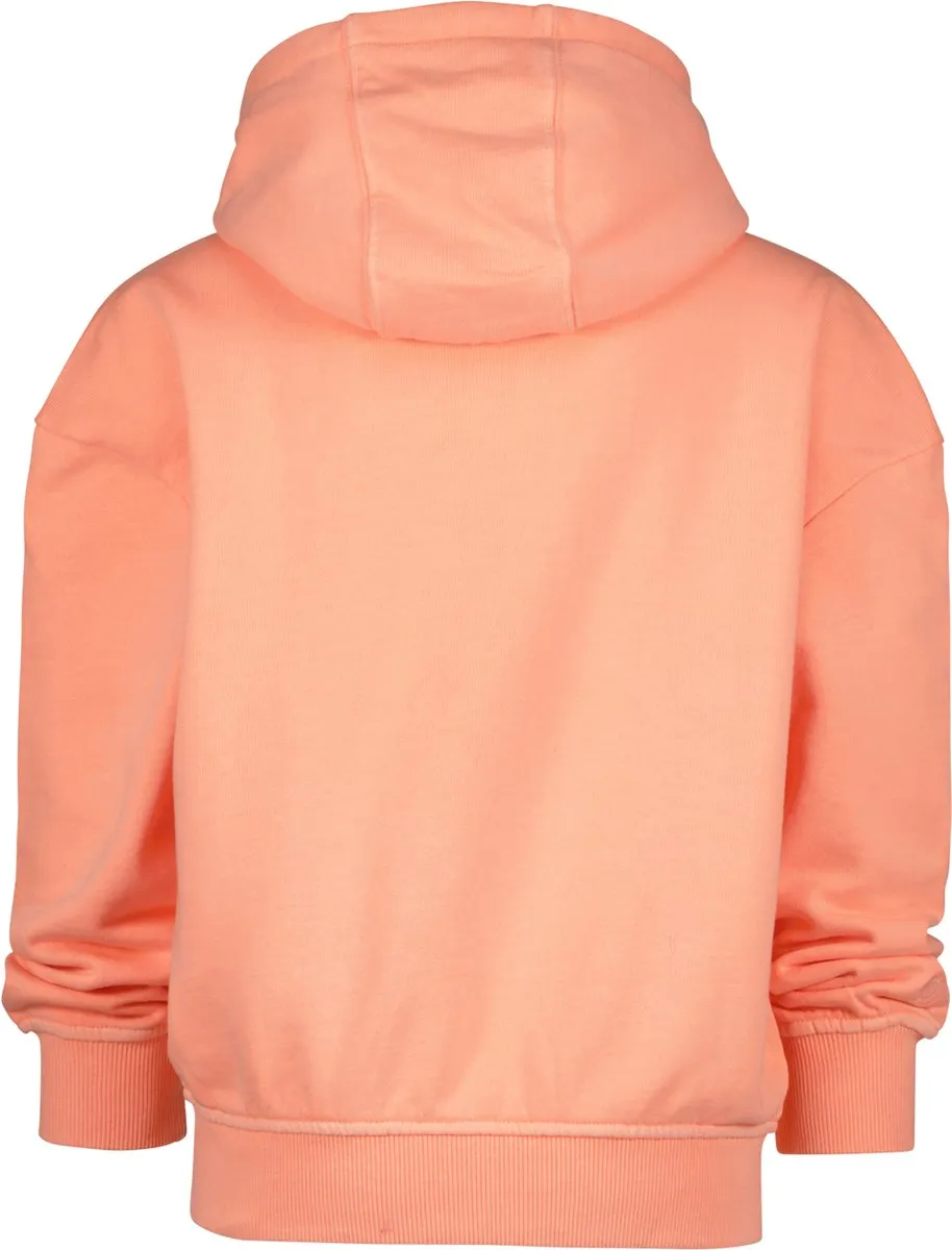 Breigoed, Trui, Sweatshirt, Capuchon