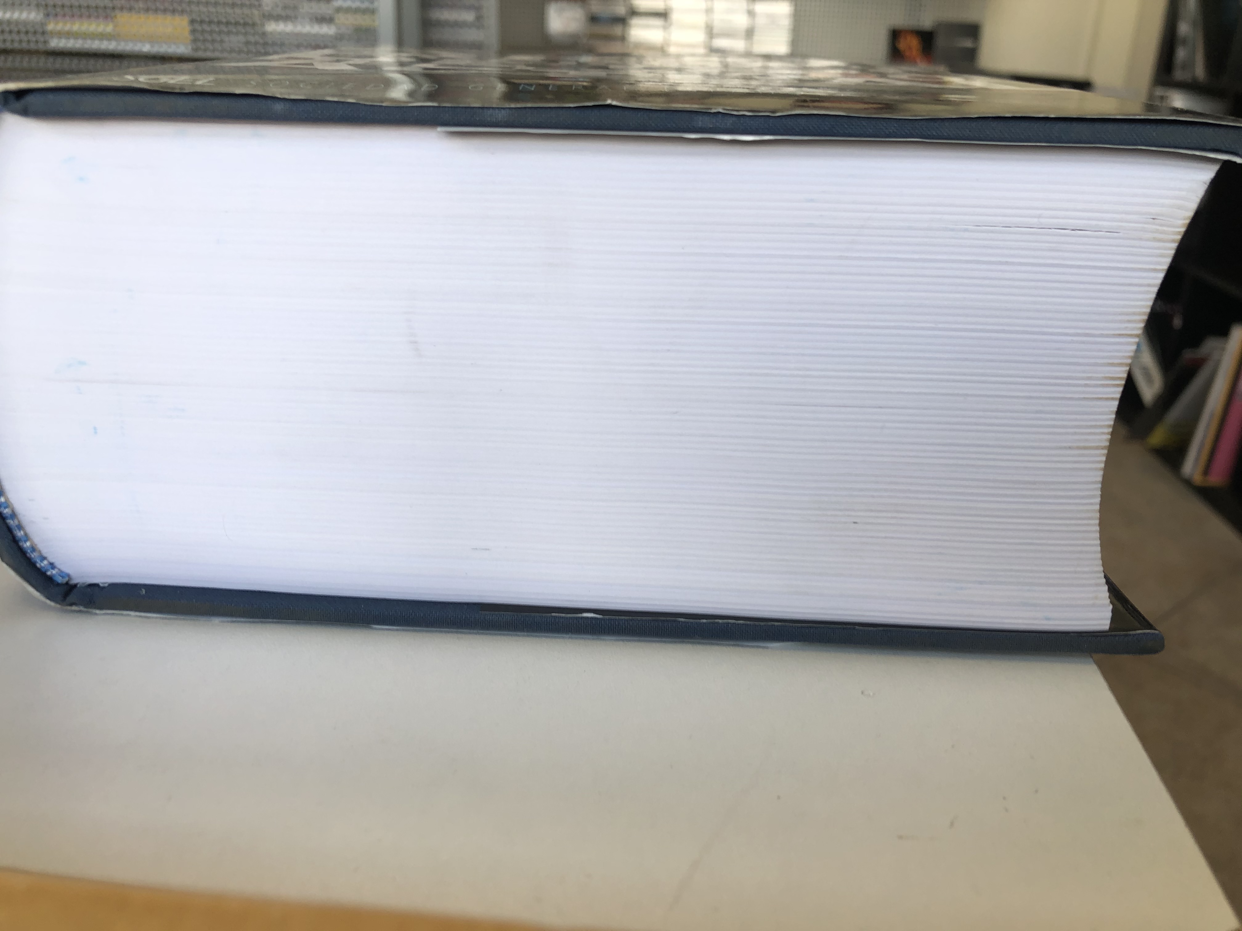 Koopjeshoek - Diccionario SGEL Gran Diccionario de Uso del Espanol Actual