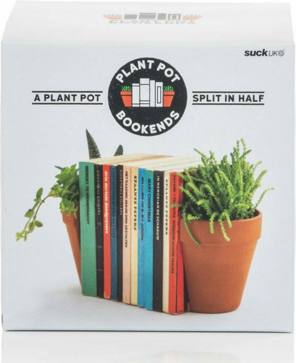 Plant, Potplant, Kruik, Planter, Boek