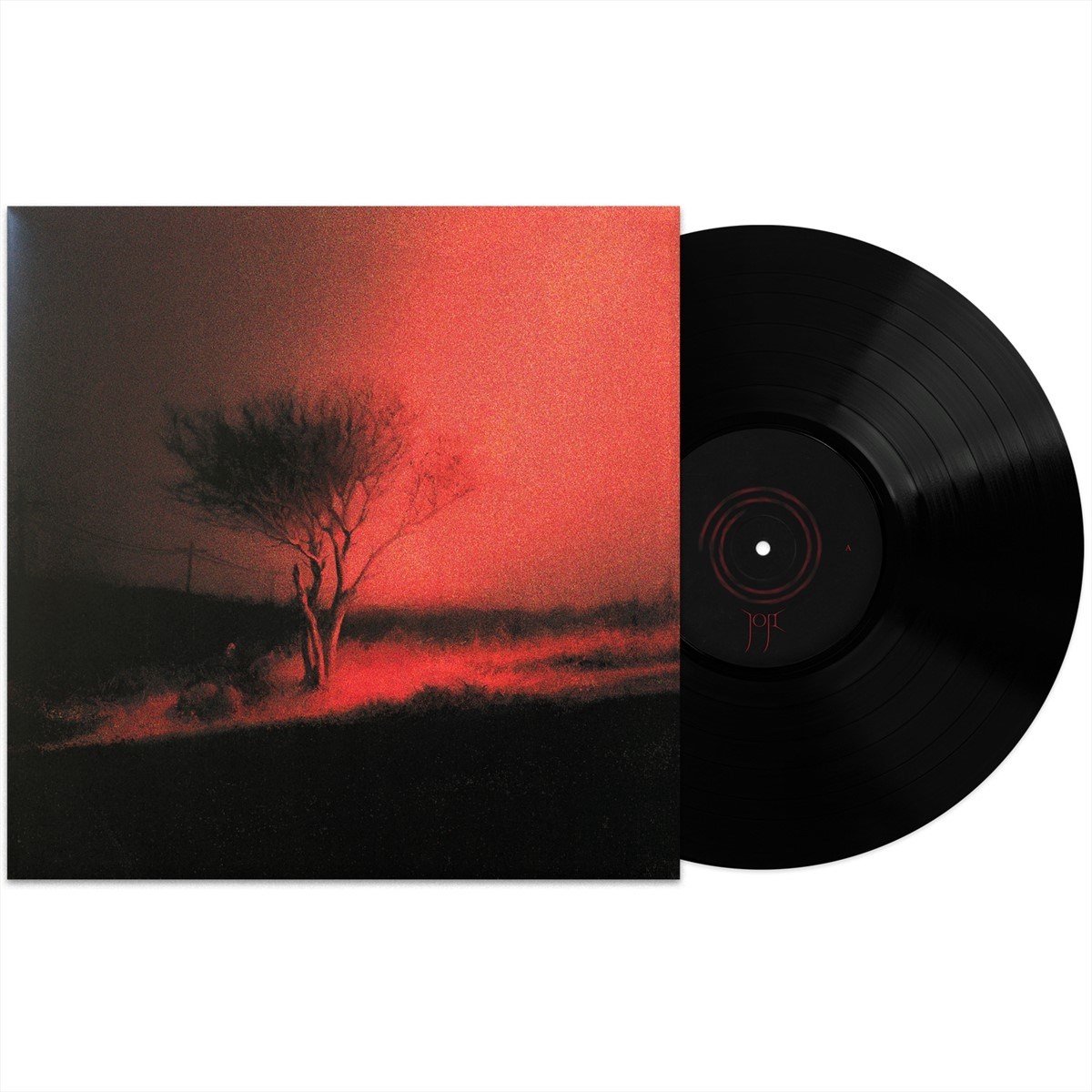 vinyl, LP, plaat, record, black