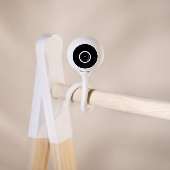Elektronica