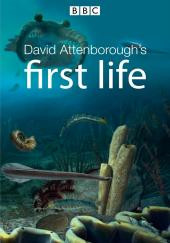 David Attenborough's First Life - BBC Earth - Deel 2 - DVD