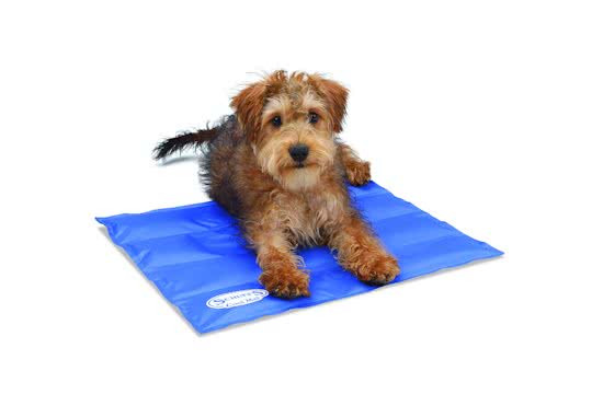 Scruffs Koelmat Hond - Blauw - S: - 50 x 40 cm