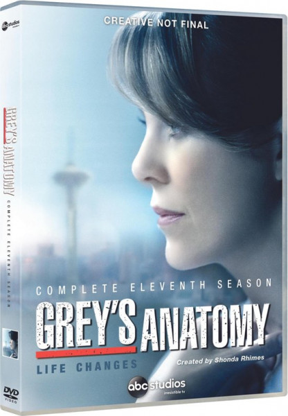 Grey's Anatomy - Seizoen 11 (DVD)