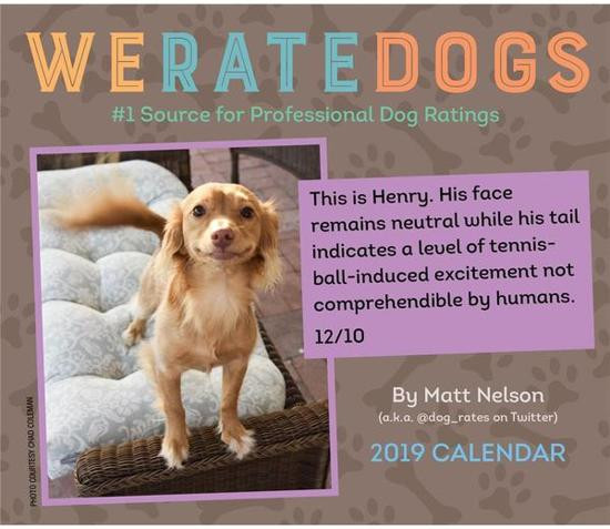 We Rate Dogs 2019 Day-to-Day Calendar