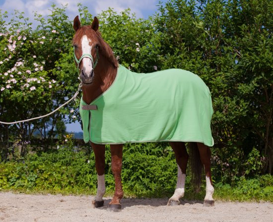 Kerbl Paardendeken Economic - groen - 135 cm