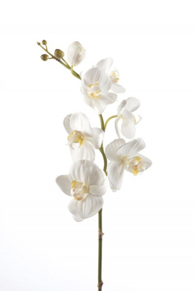 Emerald - Phalaenopsistak - Orchidee - Kunstbloem - 75 cm - 1 stuks - Creme