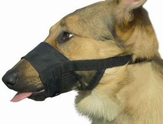 Beeztees Comfort Muilband - Hond - L - 18-24 cm