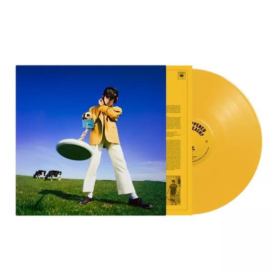 Declan Mckenna - What Happened to the Beach? (LP)