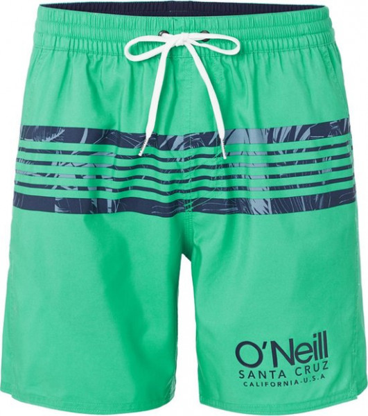 O'Neill - XL - PM CALI STRIPE SHORTS