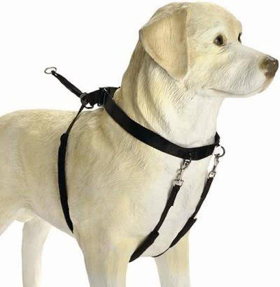 Beeztees Gentle Walker - Hondentuig - Zwart - M